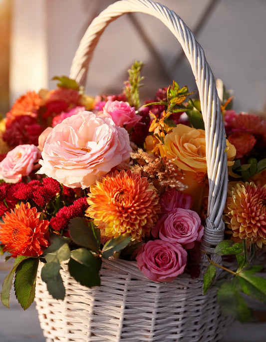 Seasonal Sunset Blooms