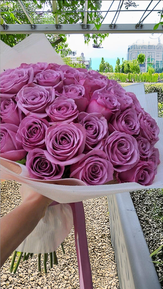 Purple Roses