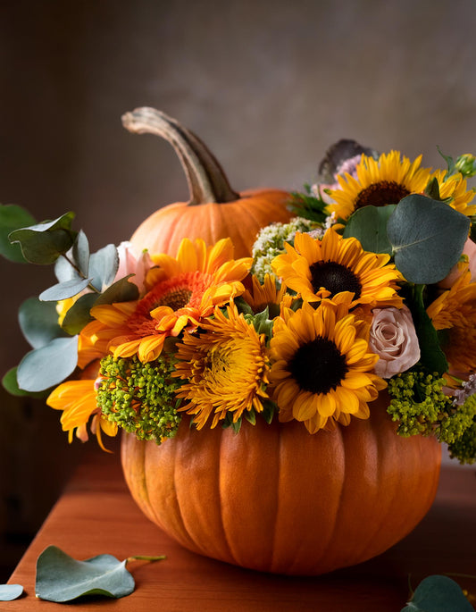 Autumnal Pumpkin Elegance